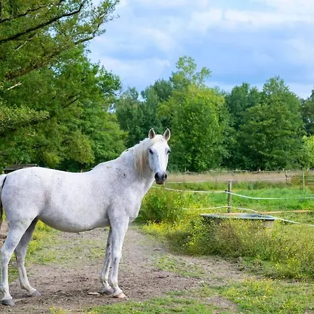 L'evasion En Pierre Piscine Et Etang Prive *