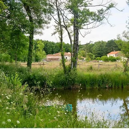 L'evasion En Pierre Piscine Et Etang Prive