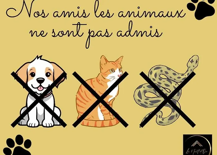 Σπίτι διακοπών L'evasion En Pierre Piscine Et Etang Prive Sevremoine