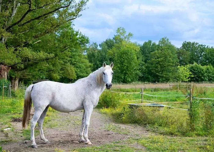 L'evasion En Pierre Piscine Et Etang Prive *
