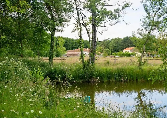 L'evasion En Pierre Piscine Et Etang Prive